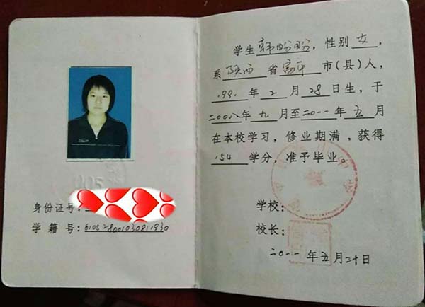 模板3：現代簡約